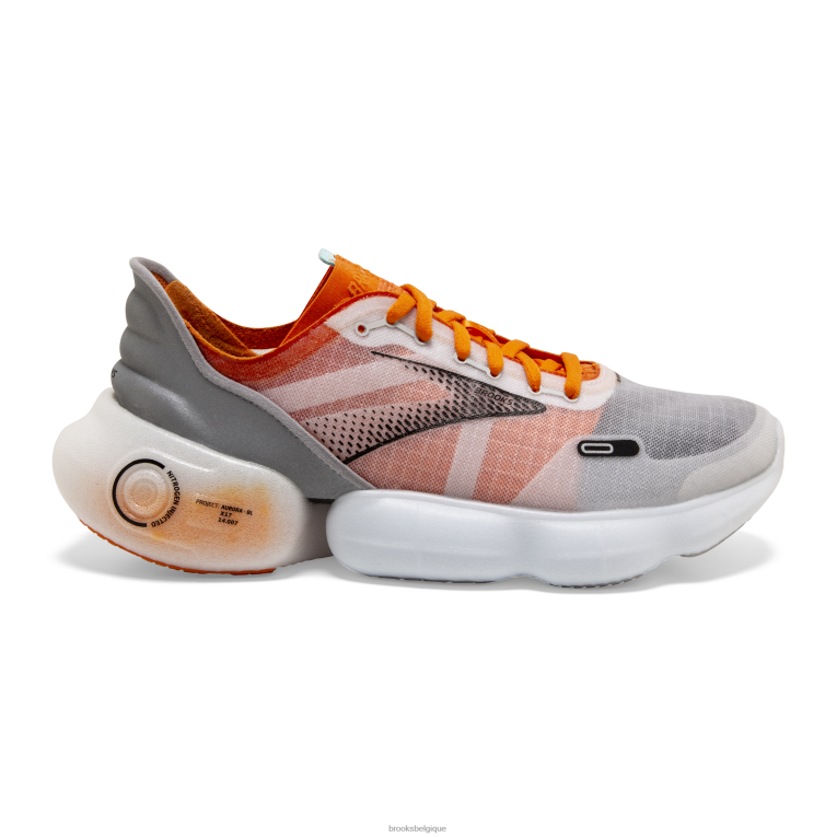 86H24290 aurore-bl Brooks gris 86H24290 aurore-bl Brooks gris